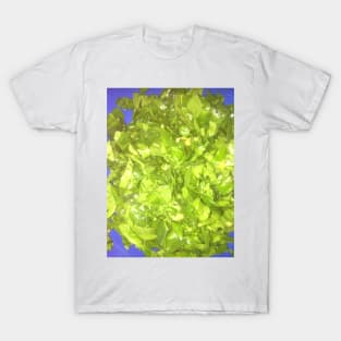 Chopped Baby Spinach With Garlic and Peppers T-Shirt